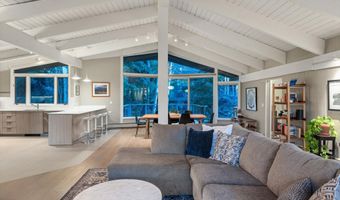 1650 Homestake Dr, Aspen, CO 81611