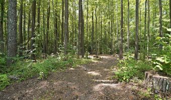 4800 Eatmon Rd, Bailey, NC 27807