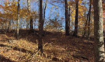 Tbd Larkspur Trail, Banner Elk, NC 28604