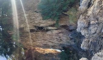 4855 Gold Butte Rd, Bunkerville, NV 89007