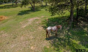 249 PR 6936, Alba, TX 75410