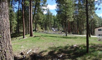 1353 Sterling Dr 68, Cascade, ID 83611