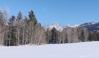 445 TARGHEE TOWNE Rd, Alta, WY 83414