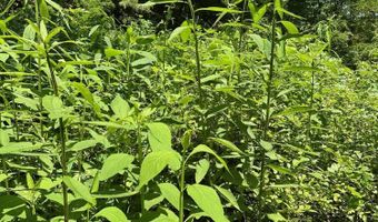 Bryant Hollow Road, Alderson, WV 24910