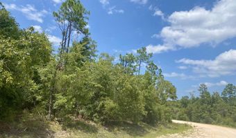 Noble Circle lot 13, Alford, FL 32420