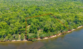 SW 17th St, Bell, FL 32619