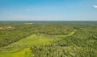 9734 Alango Rd, Angora, MN 55703