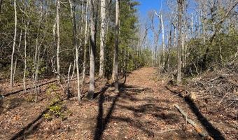 1834 Bristol Ave, Andrews, NC 28901