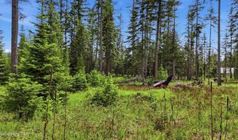 NNA Estate at Farragut Lot 3 Blk 1, Athol, ID 83801