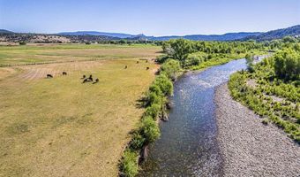 USFS RD 613, Arboles, CO 81147