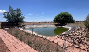 Hc 65 35100 HWY 180A, Concho, AZ 85924