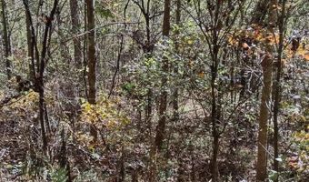 N Fork River Road, Abingdon, VA 24210