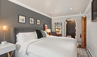 100 E Dean St 2D, Aspen, CO 81611
