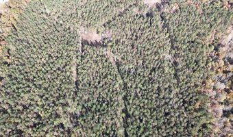 Hwy 9, Bruce, MS 38915