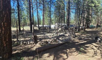 Smith Drive lot 5, Beatty, OR 97621