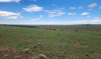 67 66 59 ACR N3377, Concho, AZ 85924