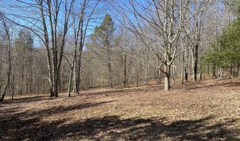 L21.1 Alder Pond Road, Andes, NY 13740