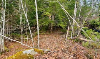 Pioneer Path lot 5, Aurora, ME 04408