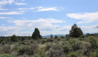 Deer Springs Road, Beatty, OR 97621