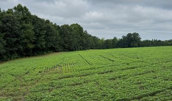 9891 Baskerville Rd, Baskerville, VA 23915