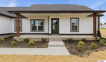 389 Washington Dr, Almo, KY 42020