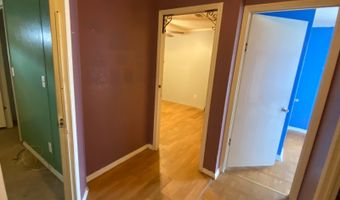 130 W Seaflower, Apopka, FL 32712