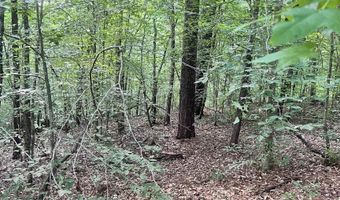 0 ANDREW JACKSON Rd 19, Alexander City, AL 35010