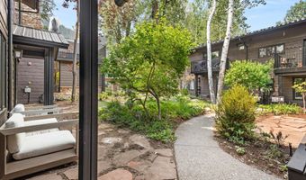 960 E Durant Ave 6, Aspen, CO 81611