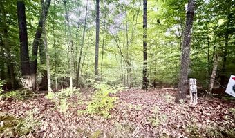 12 Acres Horton Dr, Abbeville, SC 29620