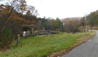 290 Angels Pass Dr Lot 1, Bastian, VA 24314