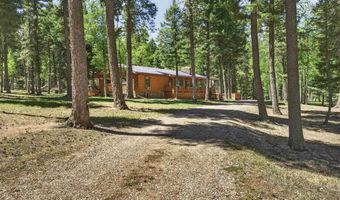 141 Via Del Rey, Angel Fire, NM 87710