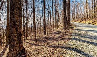 Lot 5 Deer Run Road, Black Mountain, NC 28711