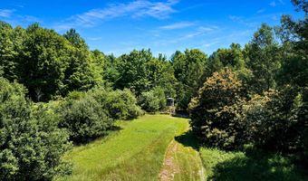 11215 Appleridge Trl, Alden, MI 49612