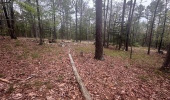 UNIT # 263B KIAMICHI WILDERNESS RD Unit # 63 63, Antlers, OK 74523