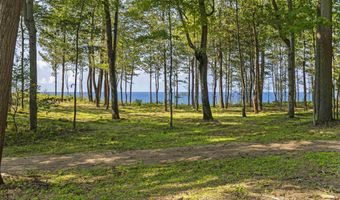 15382 Maxey Rd, Arcadia, MI 49613