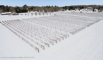 8370 Lakeview Rd, Alanson, MI 49706