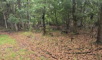 386 Brickyard Point Rd S, Beaufort, SC 29907
