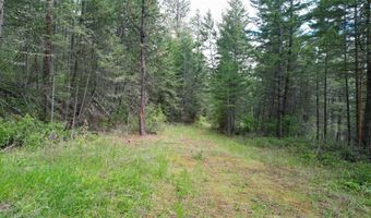 Nhn US Hwy 93, Big Arm, MT 59910