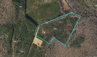 18 62 Ac Squirrell Hollow Rd, Alberta, VA 23821