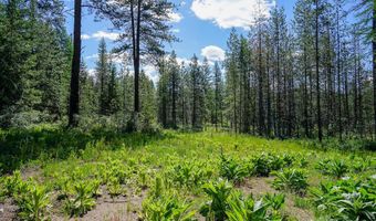 NKA Meadowland Drive, Blanchard, ID 83804