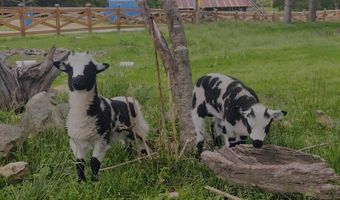 10463 Farm Road 1182, Aurora, MO 65605