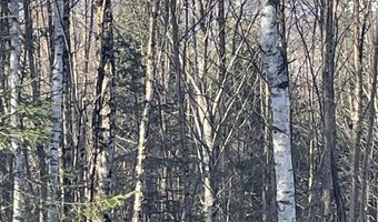 Old Franconia Road, Bethlehem, NH 03574