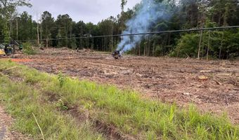 715 Old Pinola Braxton Rd, Braxton, MS 39044