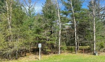 E 17th Lane lot 57, Arkdale, WI 54613
