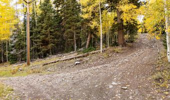 754 S Driftwood Dr, Brian Head, UT 84719