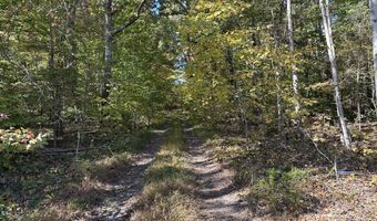 Lot 1215 Iron Gate Drive, Baneberry, TN 37890