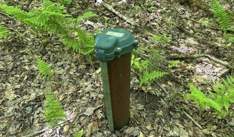 3705 N Cambridge Rd, Cambridge, VT 05464