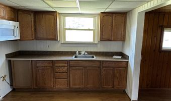 364 W Greenwood, Alger, MI 48610