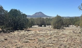 10 N2 Of Looking Glass, Ash Fork, AZ 86320