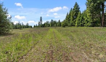 Nna Mesa Drive, Careywood, ID 83809